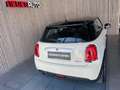 MINI Cooper Hatch *136 Ps*75.000km*Pano*Servicegepflegt* Білий - thumbnail 16