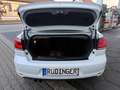 Volkswagen Golf Cabriolet LIFE NAVIGATION SITZHEIZUNG KLIMATRONIC PDC Weiß - thumbnail 7