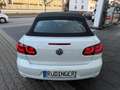 Volkswagen Golf Cabriolet LIFE NAVIGATION SITZHEIZUNG KLIMATRONIC PDC Weiß - thumbnail 6