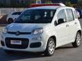 Fiat Panda Panda 1.2 Easy s Blanc - thumbnail 16