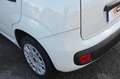 Fiat Panda Panda 1.2 Easy s Blanc - thumbnail 26