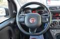 Fiat Panda Panda 1.2 Easy s Blanc - thumbnail 11