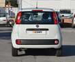 Fiat Panda Panda 1.2 Easy s Blanc - thumbnail 18