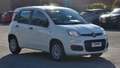 Fiat Panda Panda 1.2 Easy s Blanc - thumbnail 4