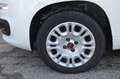 Fiat Panda Panda 1.2 Easy s Blanc - thumbnail 27