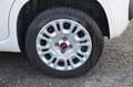 Fiat Panda Panda 1.2 Easy s Blanc - thumbnail 28