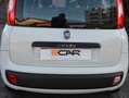 Fiat Panda Panda 1.2 Easy s Blanc - thumbnail 24