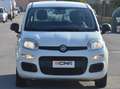 Fiat Panda Panda 1.2 Easy s Blanc - thumbnail 5
