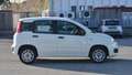 Fiat Panda Panda 1.2 Easy s Blanc - thumbnail 19