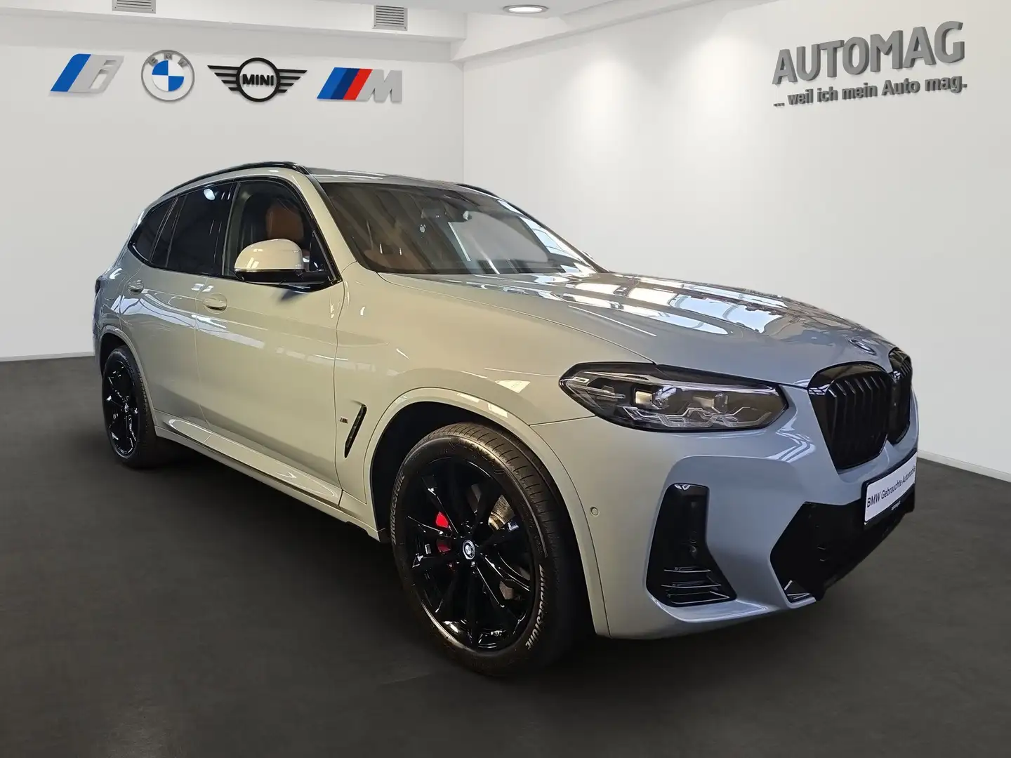 BMW X3 xDrive30e M-Sport*HeadUp*Panoramadach*ParkAssistPl Grau - 2