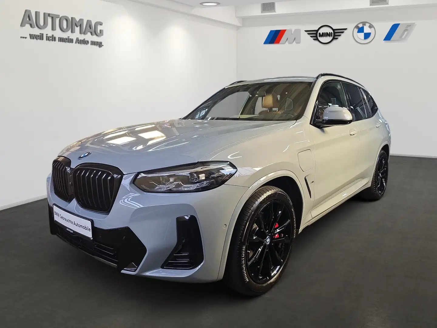 BMW X3 xDrive30e M-Sport*HeadUp*Panoramadach*ParkAssistPl Grau - 1