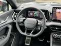 Skoda Kodiaq Sportline 2.0 TDI 4x4 DSG NEW*7Sitzer/Pano/Standhz Grau - thumbnail 26