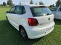 Volkswagen Polo Polo 1.2 70 CV 5 porte Comfortline Bianco - thumbnail 8