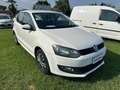 Volkswagen Polo Polo 1.2 70 CV 5 porte Comfortline Bianco - thumbnail 5