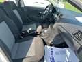 Volkswagen Polo Polo 1.2 70 CV 5 porte Comfortline Bianco - thumbnail 15