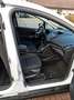 Ford Grand C-Max Grand C-Max 1.0 EcoBoost Start-Stopp-SystemTrend Weiß - thumbnail 12