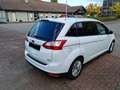 Ford Grand C-Max Grand C-Max 1.0 EcoBoost Start-Stopp-SystemTrend Weiß - thumbnail 7