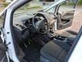 Ford Grand C-Max Grand C-Max 1.0 EcoBoost Start-Stopp-SystemTrend Weiß - thumbnail 14