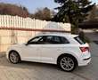 Audi SQ5 3,0 TFSI quattro S-tronic Weiß - thumbnail 10