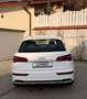 Audi SQ5 3,0 TFSI quattro S-tronic Weiß - thumbnail 13