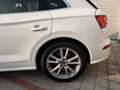 Audi SQ5 3,0 TFSI quattro S-tronic Weiß - thumbnail 21