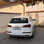 Audi SQ5 3,0 TFSI quattro S-tronic Weiß - thumbnail 18