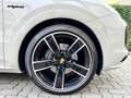 Porsche Cayenne Coupe 3.0 e-hybrid 5p. tiptronic FULL OPTIONAL Gris - thumbnail 19