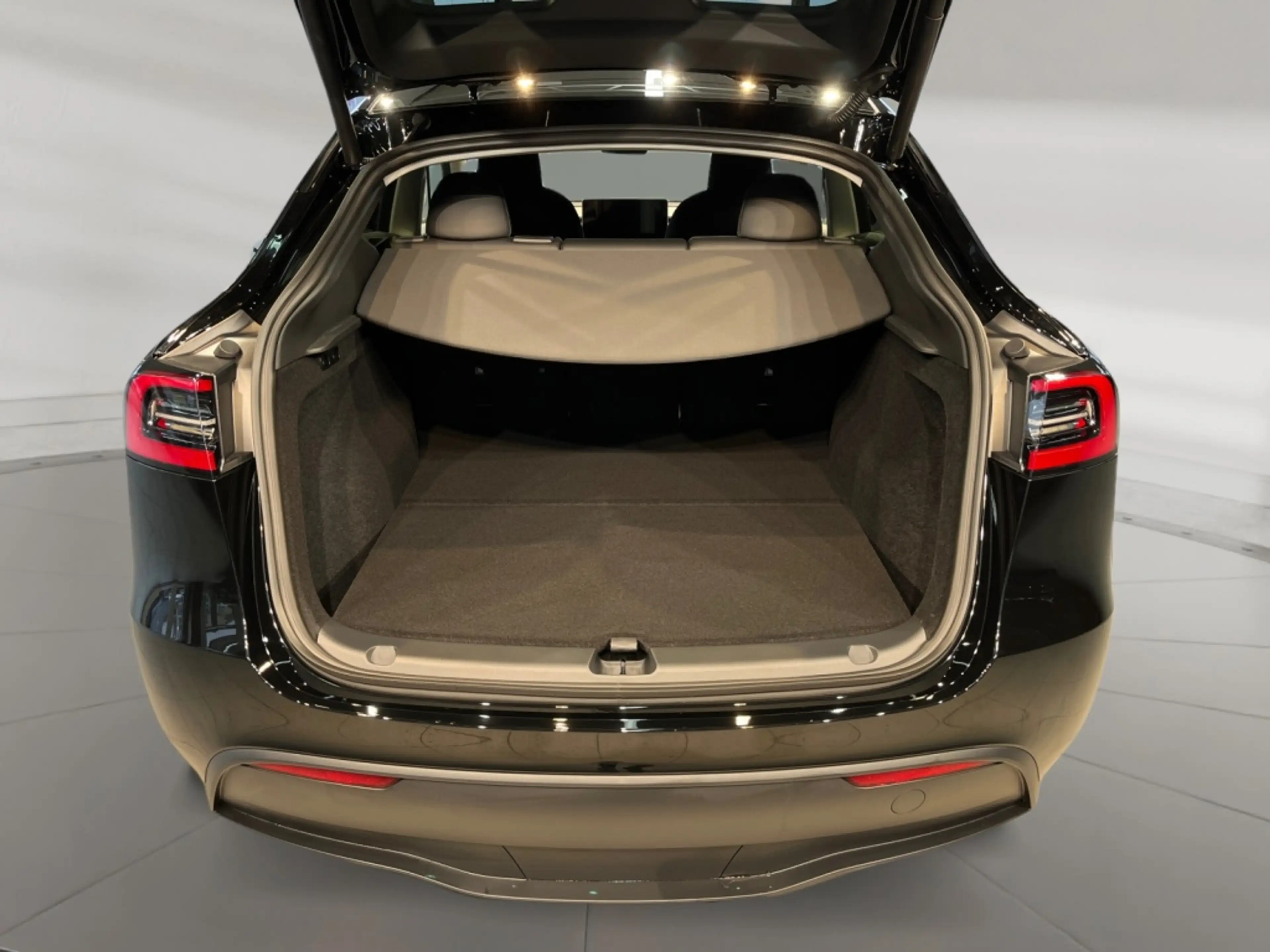 Tesla Model Y Long Range Dual AWD Fahrassist+AHK+Pano — photo 9
