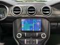 Ford Mustang GT Convertible 5.0 V8 450 CH BVA 10 Kit Shelby GT5 Gris - thumbnail 14