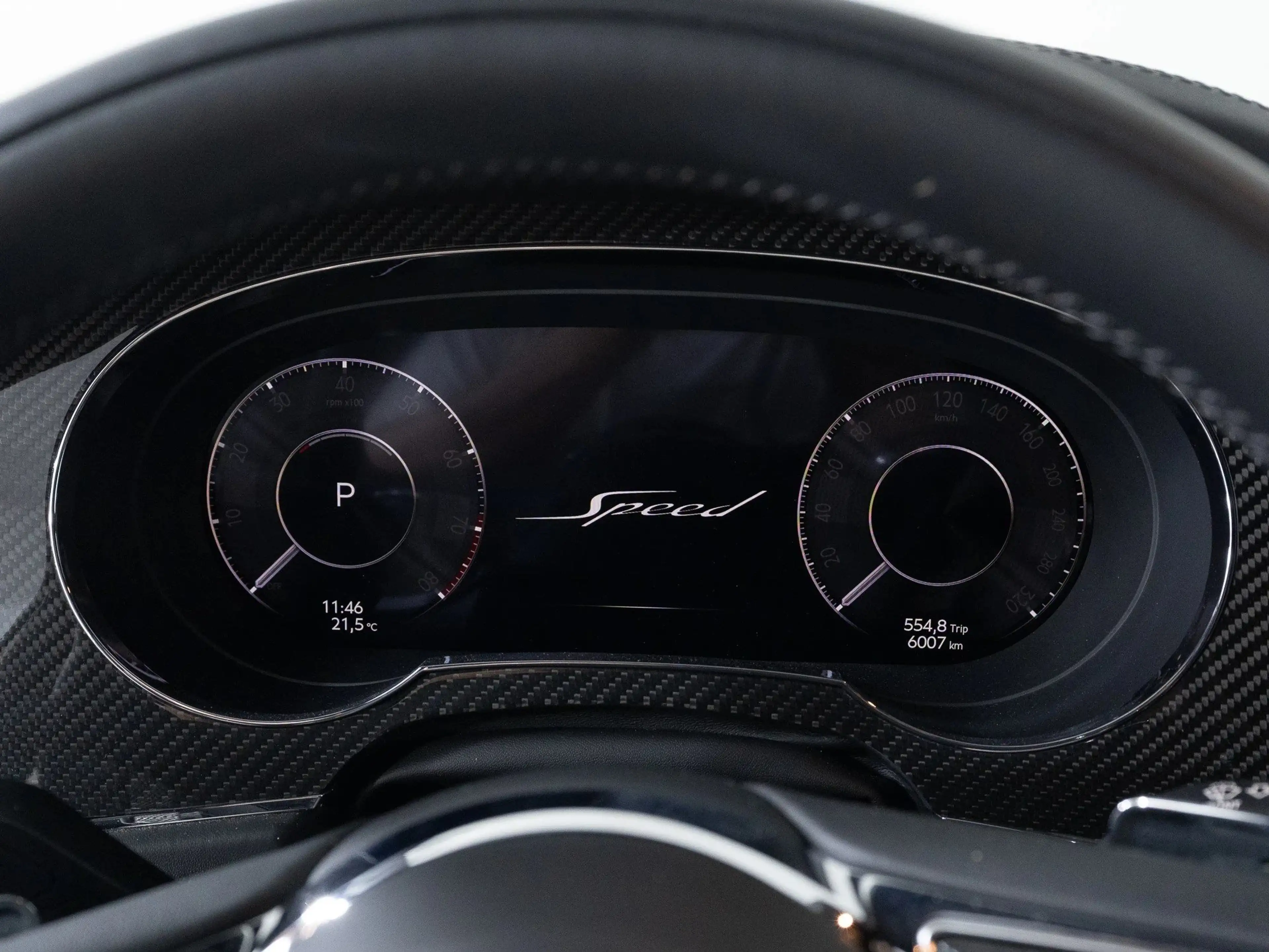 Bentley Bentayga Speed *ExtremeSilver* — photo 10