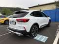 Ford Kuga ACTIVE X 2,5l PHEV 243PS Automatik Blanc - thumbnail 5