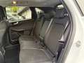 Ford Kuga ACTIVE X 2,5l PHEV 243PS Automatik Weiß - thumbnail 9