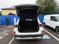 Ford Kuga ACTIVE X 2,5l PHEV 243PS Automatik Weiß - thumbnail 16