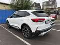 Ford Kuga ACTIVE X 2,5l PHEV 243PS Automatik Blanc - thumbnail 7
