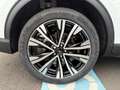 Ford Kuga ACTIVE X 2,5l PHEV 243PS Automatik Blanco - thumbnail 19