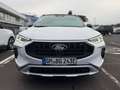 Ford Kuga ACTIVE X 2,5l PHEV 243PS Automatik Blanco - thumbnail 3