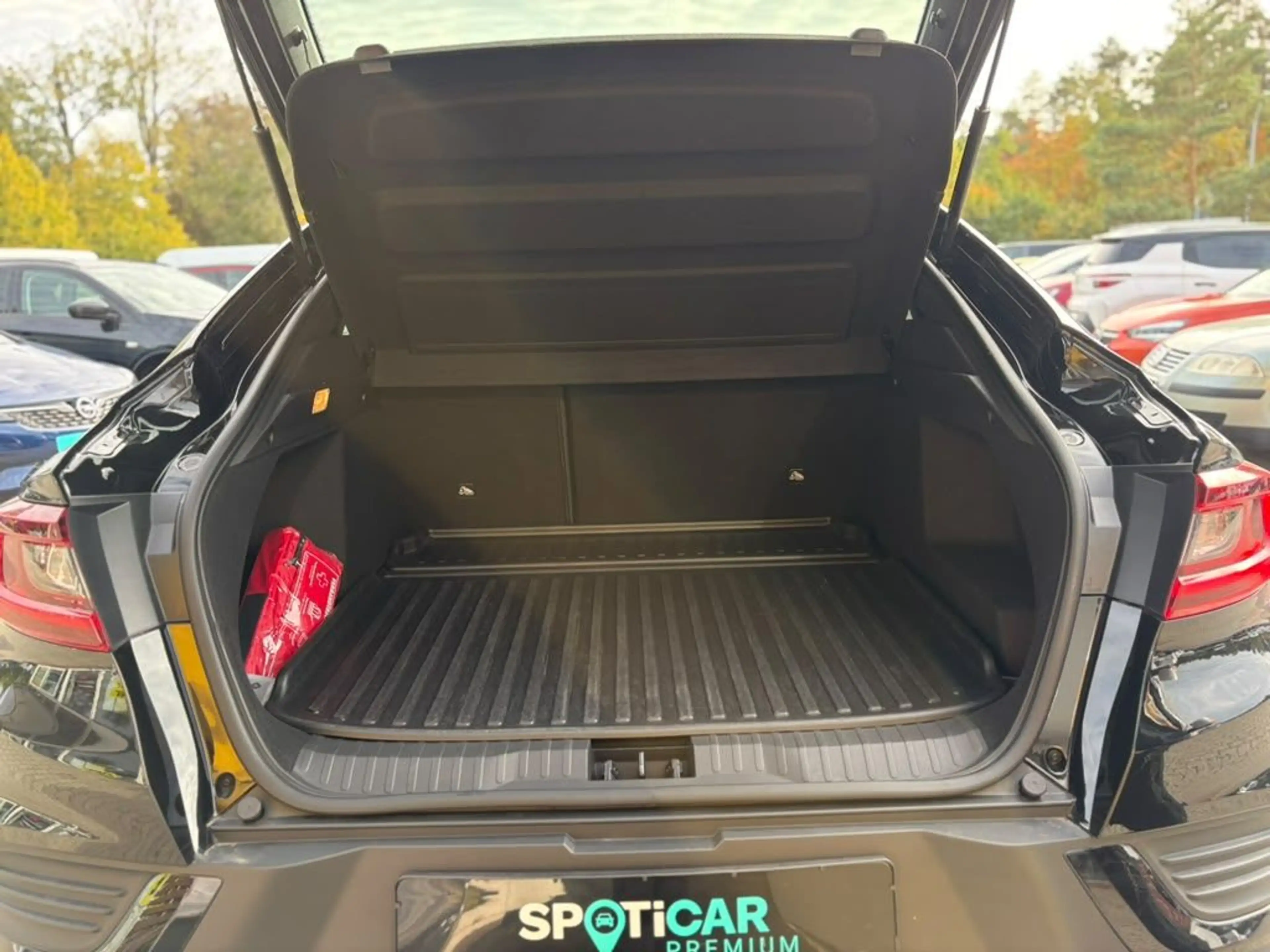 Renault Arkana TCe Mild Hybrid 160 EDC R.S. LINE — photo 8