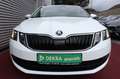Skoda Octavia OCTAVIA COMBI AMBITION AUTOMATIK BENZIN/GAS KLIM Weiß - thumbnail 9