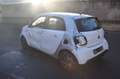 smart forFour Basis  AIRBAGS OK!!! Weiß - thumbnail 5