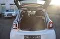 smart forFour Basis  AIRBAGS OK!!! Weiß - thumbnail 12