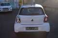 smart forFour Basis  AIRBAGS OK!!! Weiß - thumbnail 4