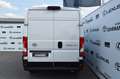 Toyota Proace Max H2 Kasten 35 L2H2  140 Work 4,49% Weiß - thumbnail 4