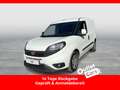 Fiat Doblo Fiat Doblo Cargo L1H1 1,3 MultiJet 95 Lounge Weiß - thumbnail 1