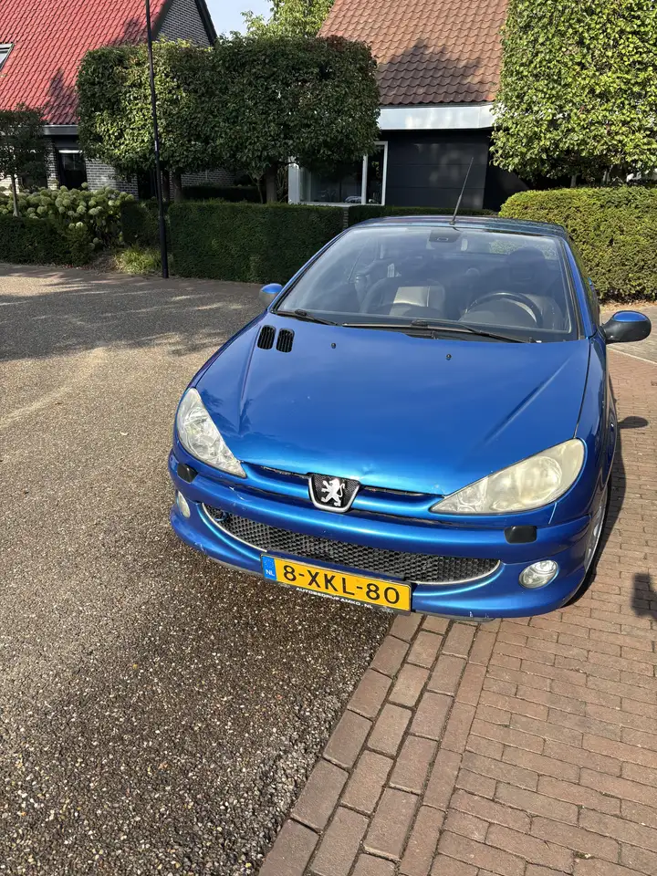 Peugeot 206