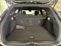 Ford Focus Turnier ST-Line X ACC AHK Head Up Winter-P Grau - thumbnail 25