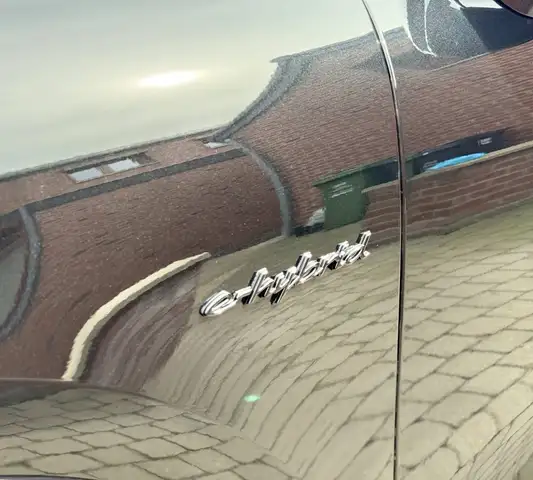 Porsche Cayenne view 11