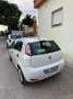 Fiat Punto 3p 1.3 mjt II 16v Lounge 75cv E5+ - thumbnail 2