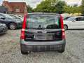 Fiat Panda 1.1 8V Active*ohne TÜV * Noir - thumbnail 8
