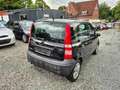 Fiat Panda 1.1 8V Active*ohne TÜV * Noir - thumbnail 6