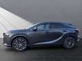 Lexus RX 350h 350 h 4x4 Executive Line Panoramadach Grau - thumbnail 2